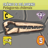 Paleo Atacama